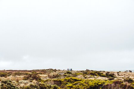 Countryside desert environment