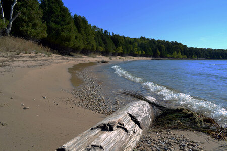 St. Martin Island rocky beach habitat