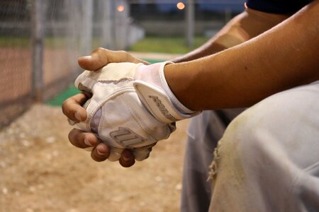 Hands gloves field photo