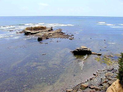 Ocean shoreline 