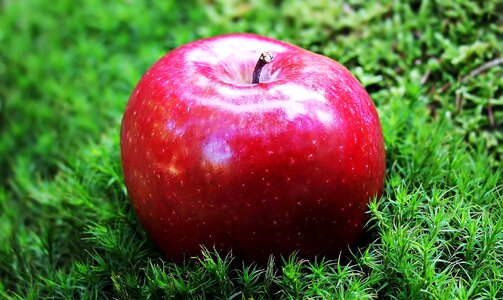 Apple beautiful photo diet