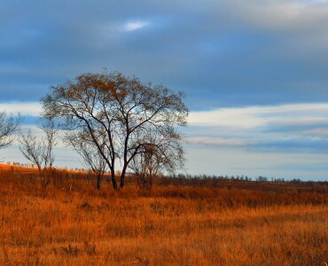 Lonely sky sunset photo