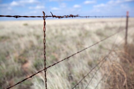 Barbed Wire close desert photo