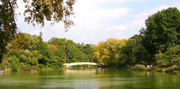 Pond manhattan bridge