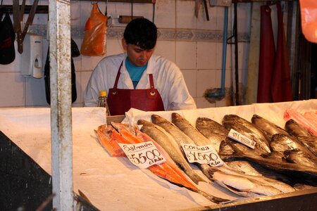 Fresh seafood for sale in the historic main fish market