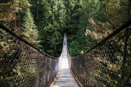 A woman walks across a suspended hiking bridge photo