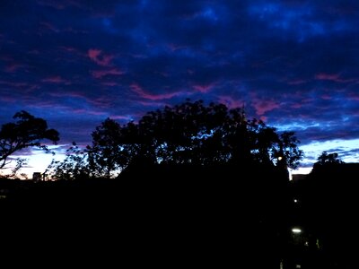 Dark shining reddish