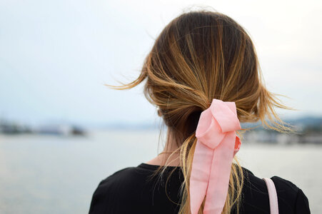 Back View of Woman Hair photo