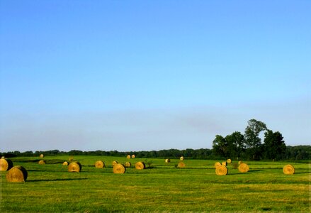 Hay bales haystack photo