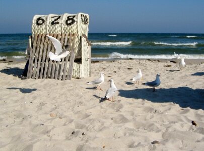 Sea beach beach chair photo