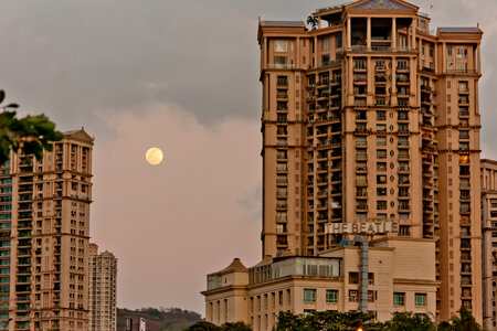 Concrete Jungle Moon photo