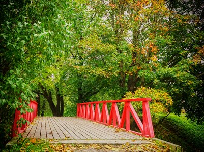 Beautiful Photo bridge forest photo