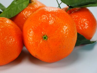 Clementine citrus fruit orange