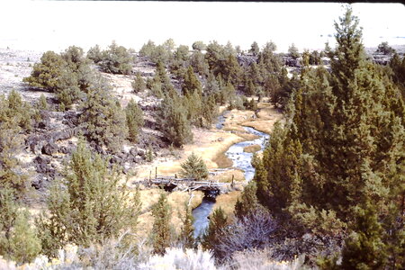 Historic Sheep Bridge in the Applegate Field
