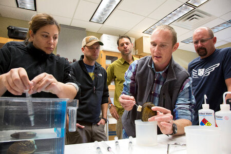 Biologists learn how to grow freshwater mussels-1