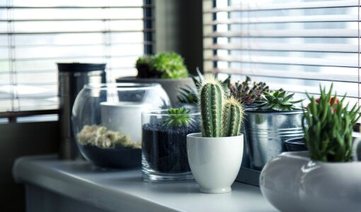 A small plant pot displayed in the window photo