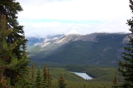 Jasper National Park of Canada Bald Hills photo
