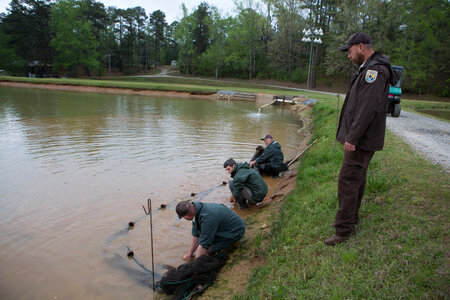 Warm Springs Hatchery staff checking nets for channel catfish