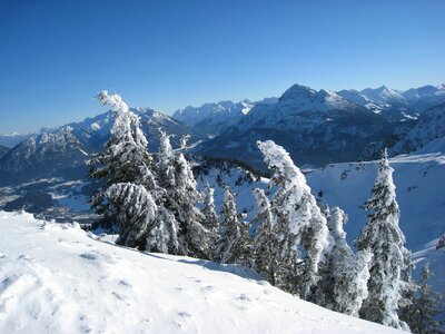 Snow trees wintry photo