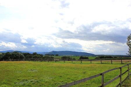 Empty paddock with green meadow