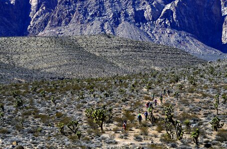 U.S. veterans ride their mountain bikes