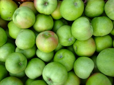 Apple fruit green
