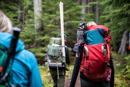 Group of tourists with backpacks descends mountain trail photo