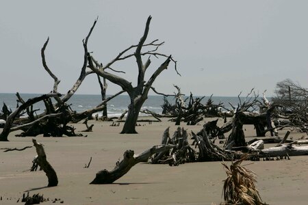 Ancient beach erosion erosion