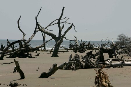 Ancient beach erosion erosion photo