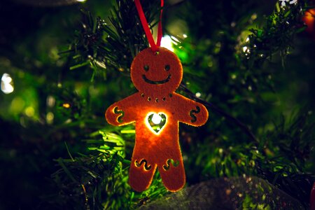 Celebration christmas decoration