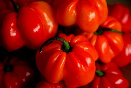 West indies spices kitchen