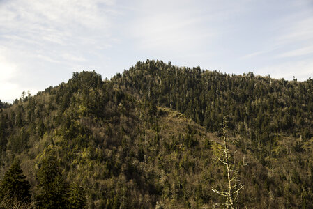 Mountains under the sky landscape in Great Smoky Mountains National Park, Tennessee