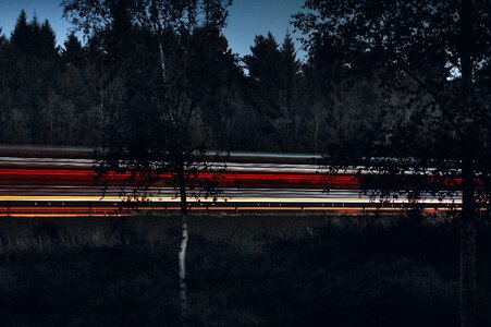 Forest highway landscape
