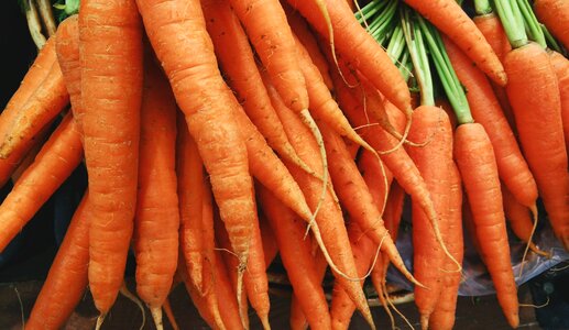 Fresh fresh vegetables organic