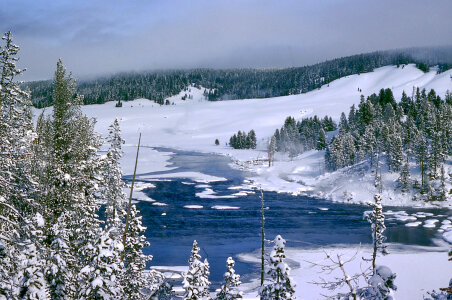 Winter landscape scene in Yellowstone National Park, Wyoming photo