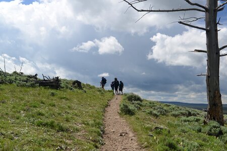 Bunsen Peak Trail. Yellowstone national park