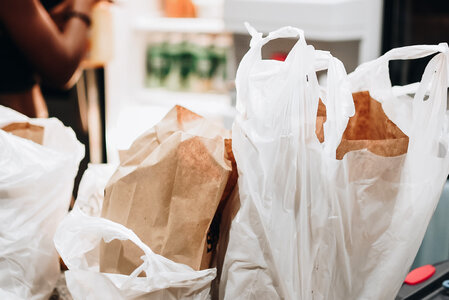 Woman grocery shopping photo