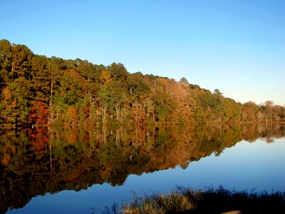 Landscape scenery nature