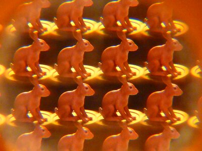 Hare kaleidoscope art