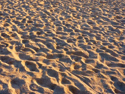 Beach vacations occurs