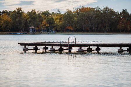 Dock lakeside resort area photo