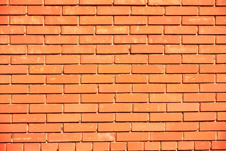 Brick Wall photo