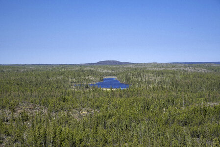 Hill and Lakes in the Middle of the Pine Forest on the Ingraham Trail photo
