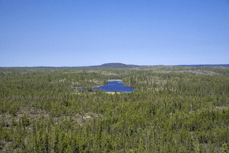 Hill and Lakes in the Middle of the Pine Forest on the Ingraham Trail
