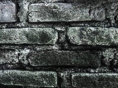 Grunge Brick Wall photo