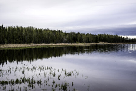 Shoreline Landscape of Vee Lake under Clouds