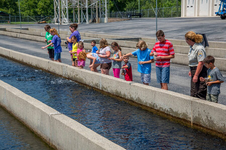 Children feeding fish at raceways