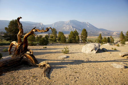 Sierra Nevada high alpine meadow-1 photo