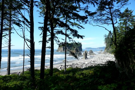 Usa landscape shoreline photo