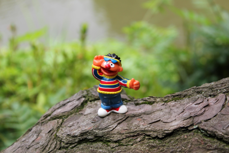 Colorful leaf nature